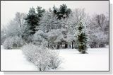 snow